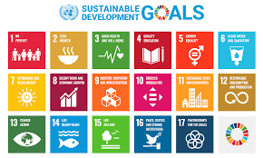 UN SDGs